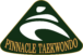 PINNACLE TAEKWONDO